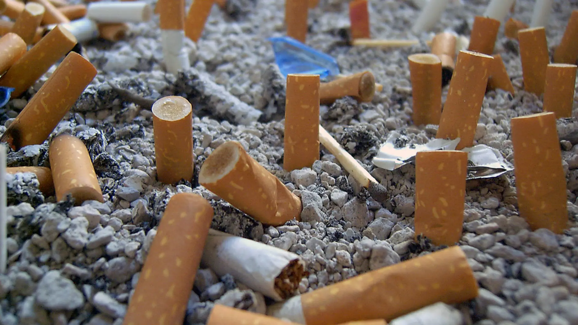 Imagen de un cenicero con multitud de cigarros apagados