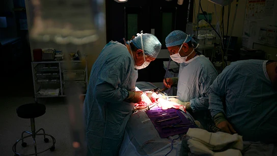 Operación quirúrgica. Operación quirúrgica.