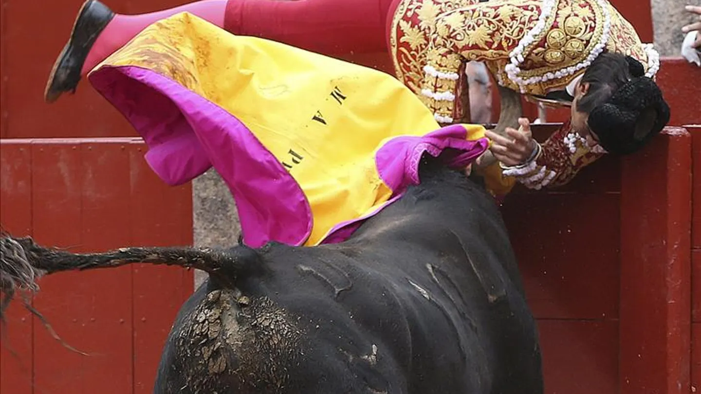El torero Miguel Ángel Perera en el momento de ser cogido por el tercer toro El torero Miguel Ángel Perera en el momento de ser cogido por el tercer toro