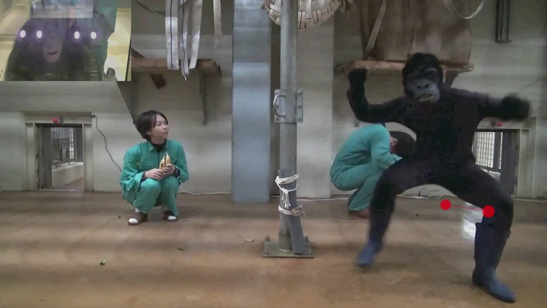 Los-grandes-simios-saben-distinguir-una-buena-pelicula-de-suspense.png