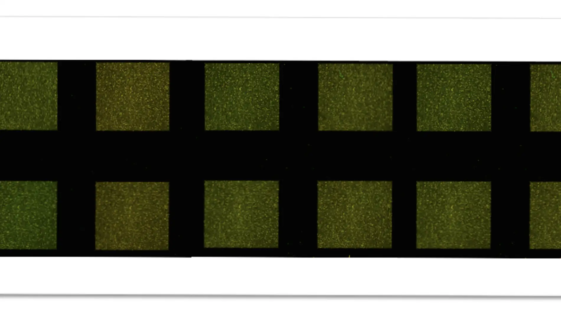 Microarray desarrollado por qGenomics