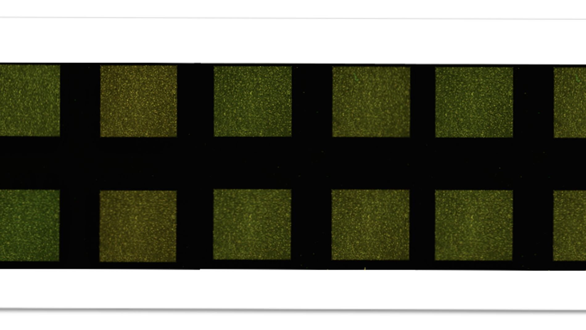 Microarray desarrollado por qGenomics
