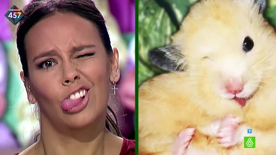 Cristina Pedroche pone su cara más animal Cristina Pedroche pone su cara más animal