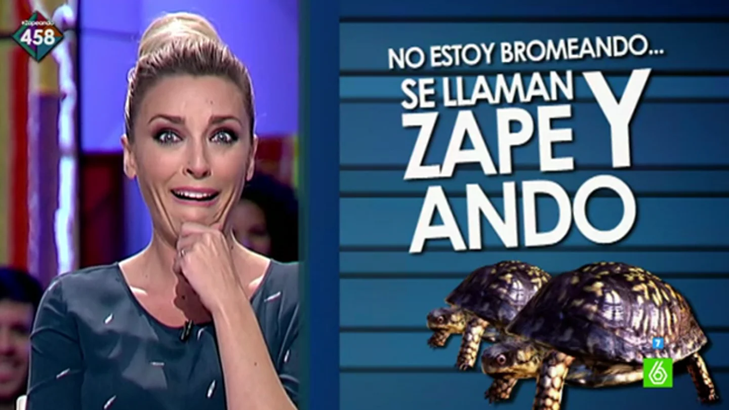 Anna Simon conoce a las tortugas Zape y Ando Anna Simon conoce a las tortugas Zape y Ando