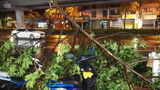 Destrozos tras el paso del tifón Dujuan Destrozos tras el paso del tifón Dujuan