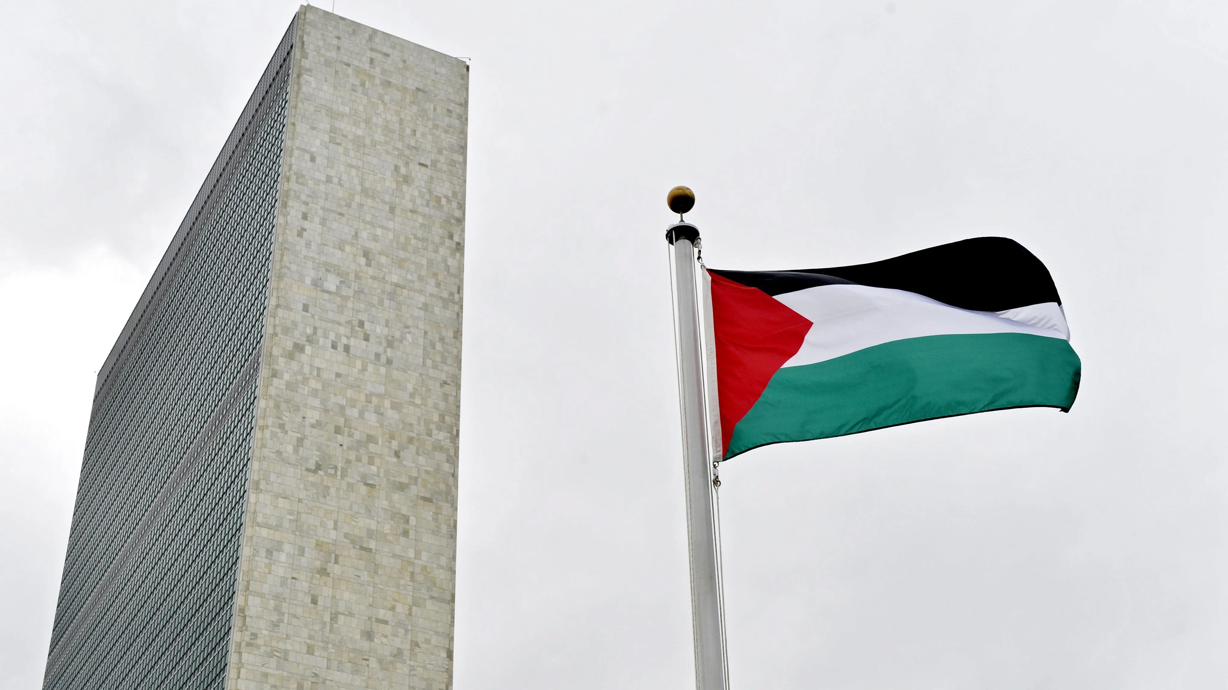 Vista de la bandera palestina izada por primera vez en la sede de la ONU Vista de la bandera palestina izada por primera vez en la sede de la ONU