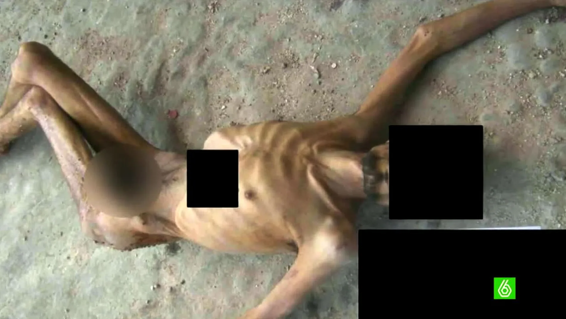 Cadáver de un ciudadano sirio tras ser torturado