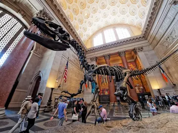 Un gigante en el museo Un gigante en el museo