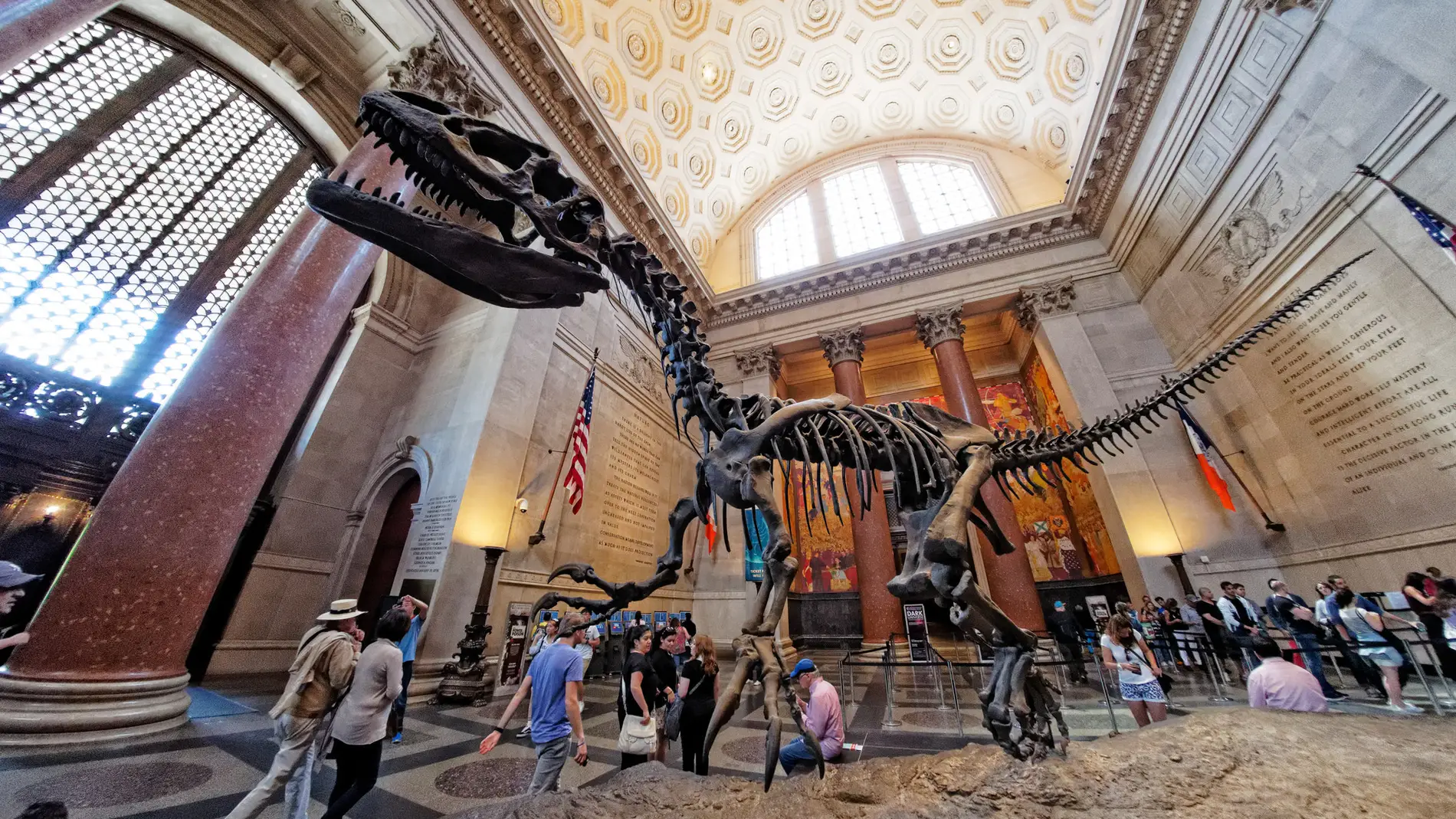 Un gigante en el museo