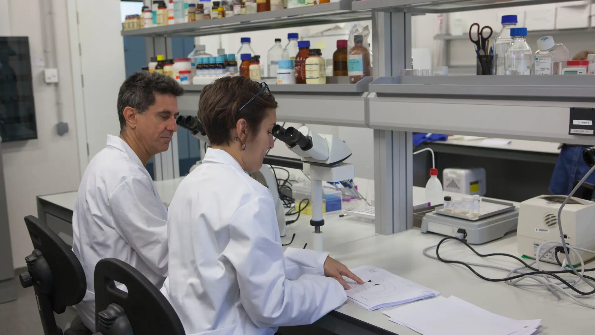 Investigadores del Laboratorio NeuroFun