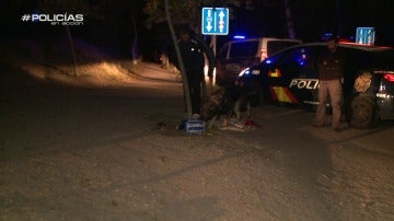 Policías en acción