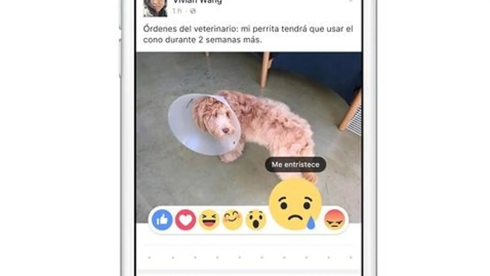El botón de No Me Gusta