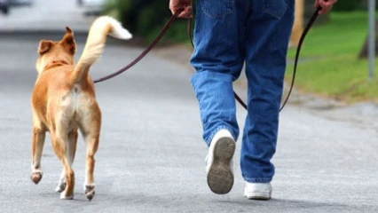 Paseando perro