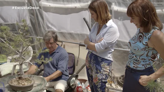 Ángel busca un espacio más cómodo para sus bonsais Ángel busca un espacio más cómodo para sus bonsais