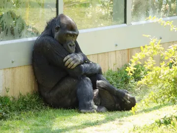 ¿Tendrá algún tipo de trastorno? ¿Tendrá algún tipo de trastorno?