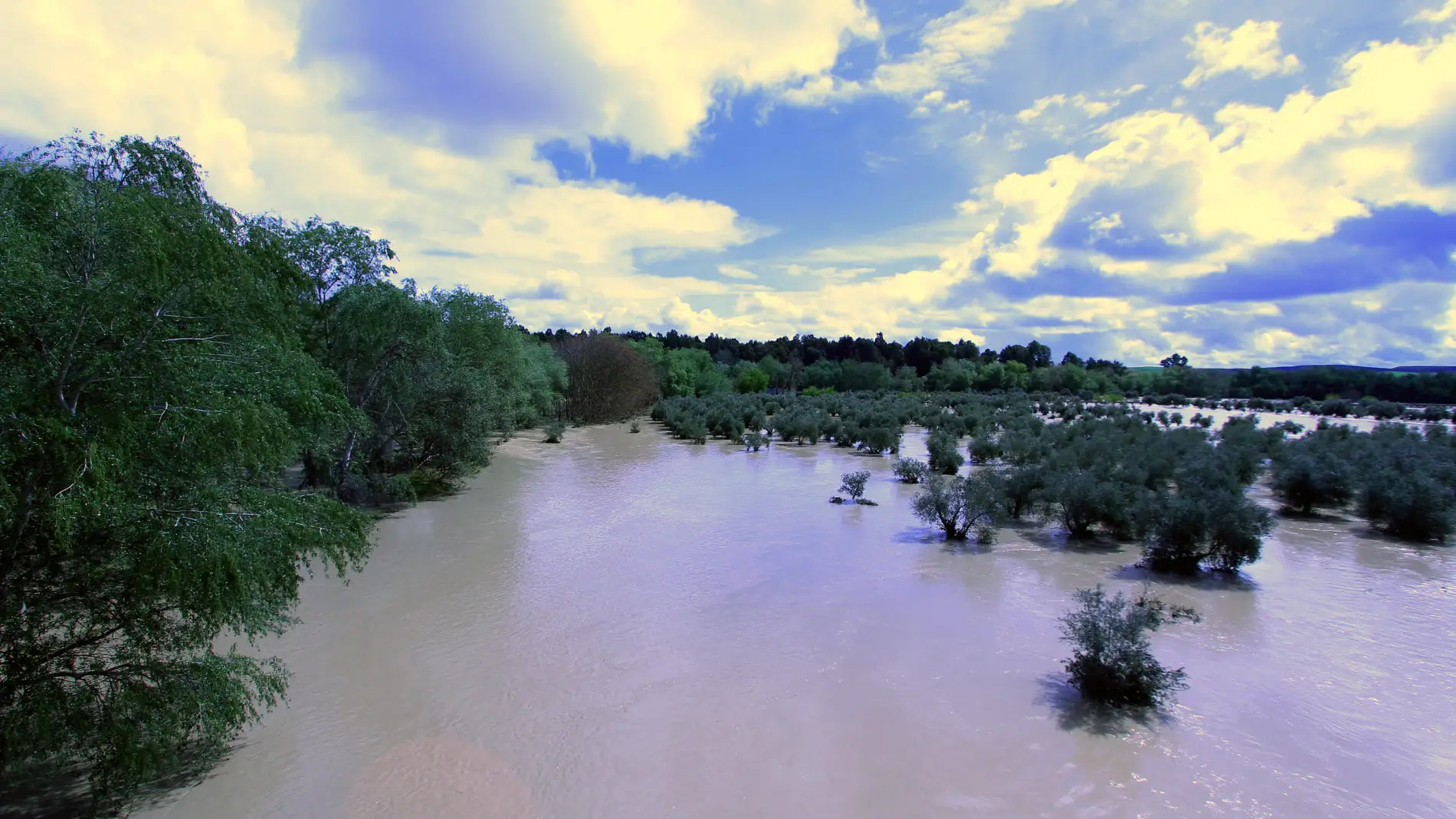 Río Guadalquivir en una zona cercana a V