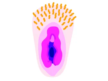 Los emoticonos de las vaginas Los emoticonos de las vaginas