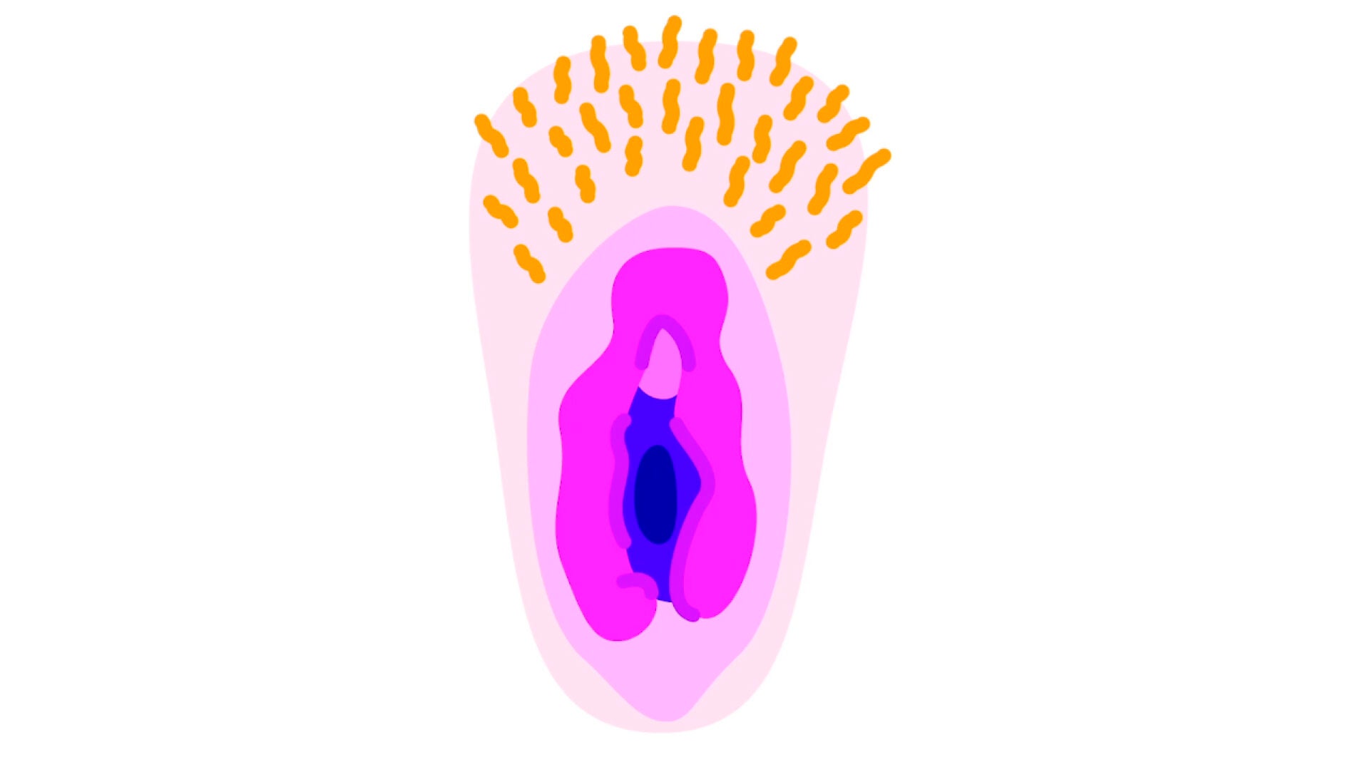 Los emoticonos de las vaginas