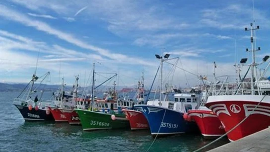 Barcos pesqueros Barcos pesqueros