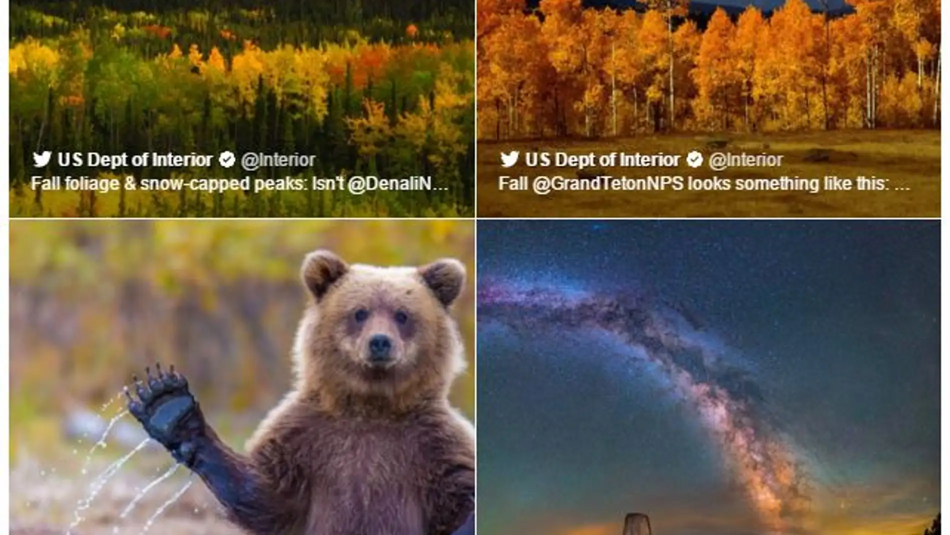 Herramienta Publish para Twitter