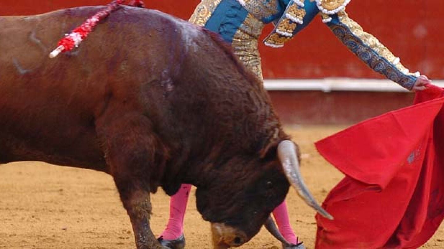 Imagen de un toro y un torero