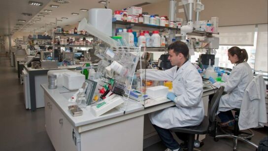 Descubren una nueva forma para bloquear un gen causante de algunos tipos de c&aacute;ncer 