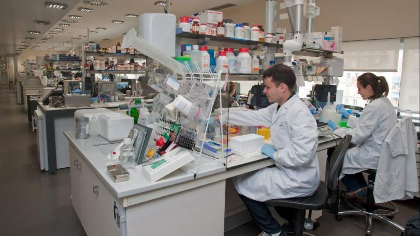 Descubren una nueva forma para bloquear un gen causante de algunos tipos de c&aacute;ncer 