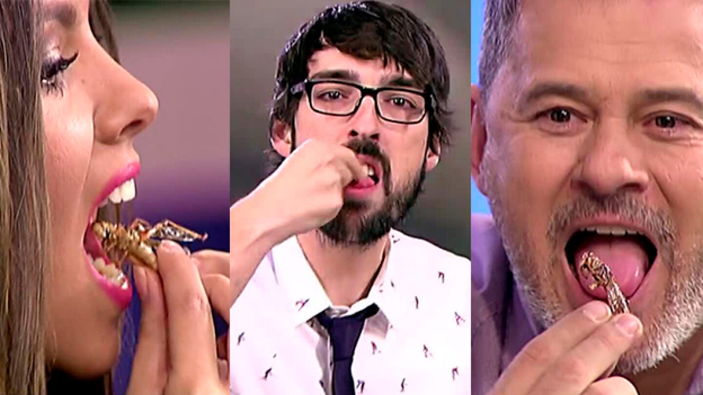 Insectos en Zapeando
