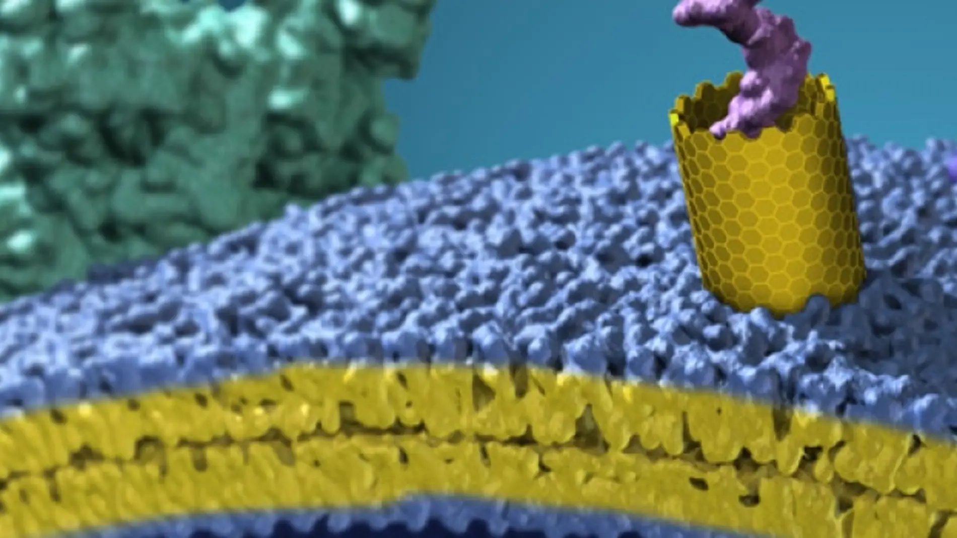 Nanotubos