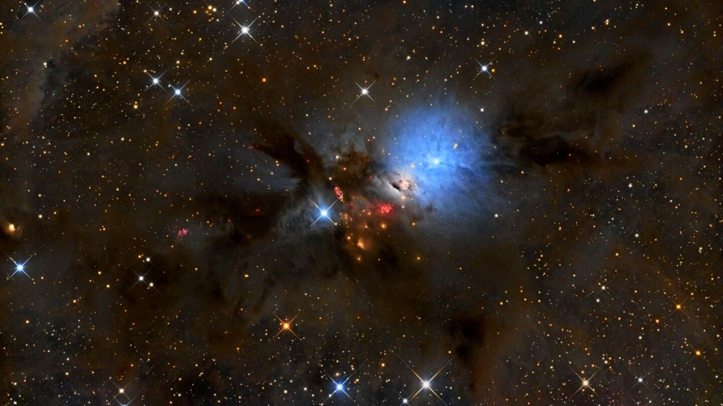 La imagen tomada de la nebulosa de reflexi&oacute;n NGC1333