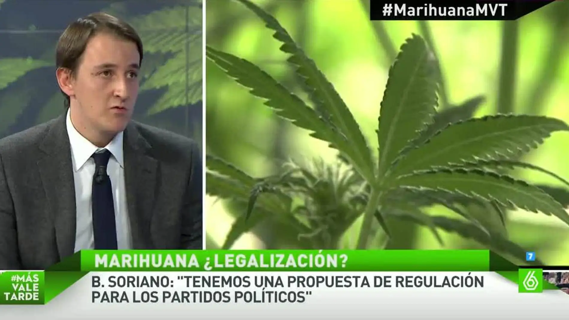 Bernardo Soriano, sobre la regulación de la marihuana