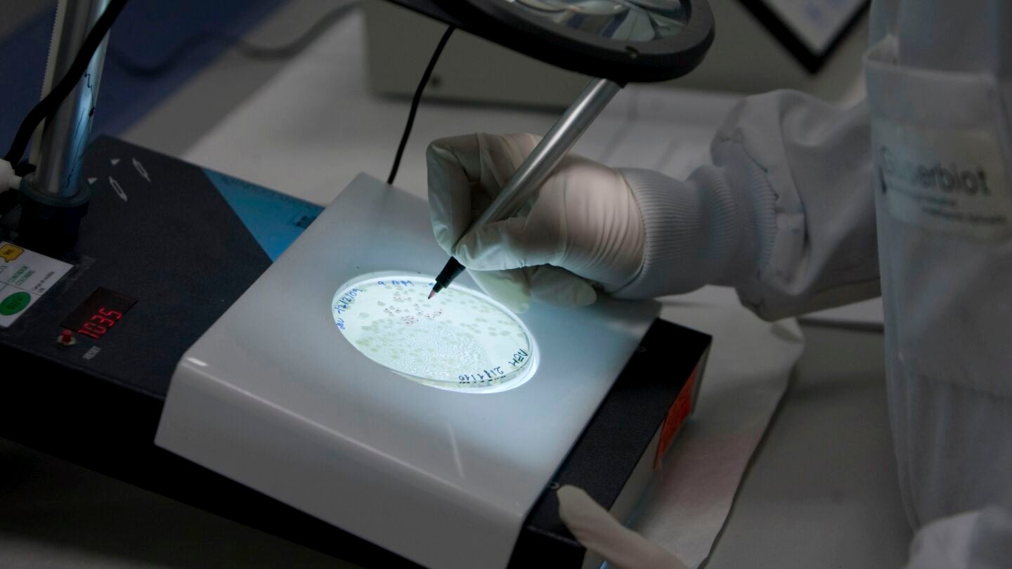 Anuncian el descubrimiento de una lombriz que transmite c&eacute;lulas cancerosas a humanos