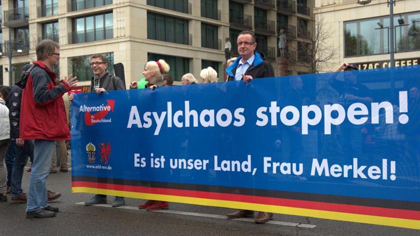 Miembros de Alternativa por Alemania manifest&aacute;ndose en Berl&iacute;n contra la pol&iacute;tica de asilo