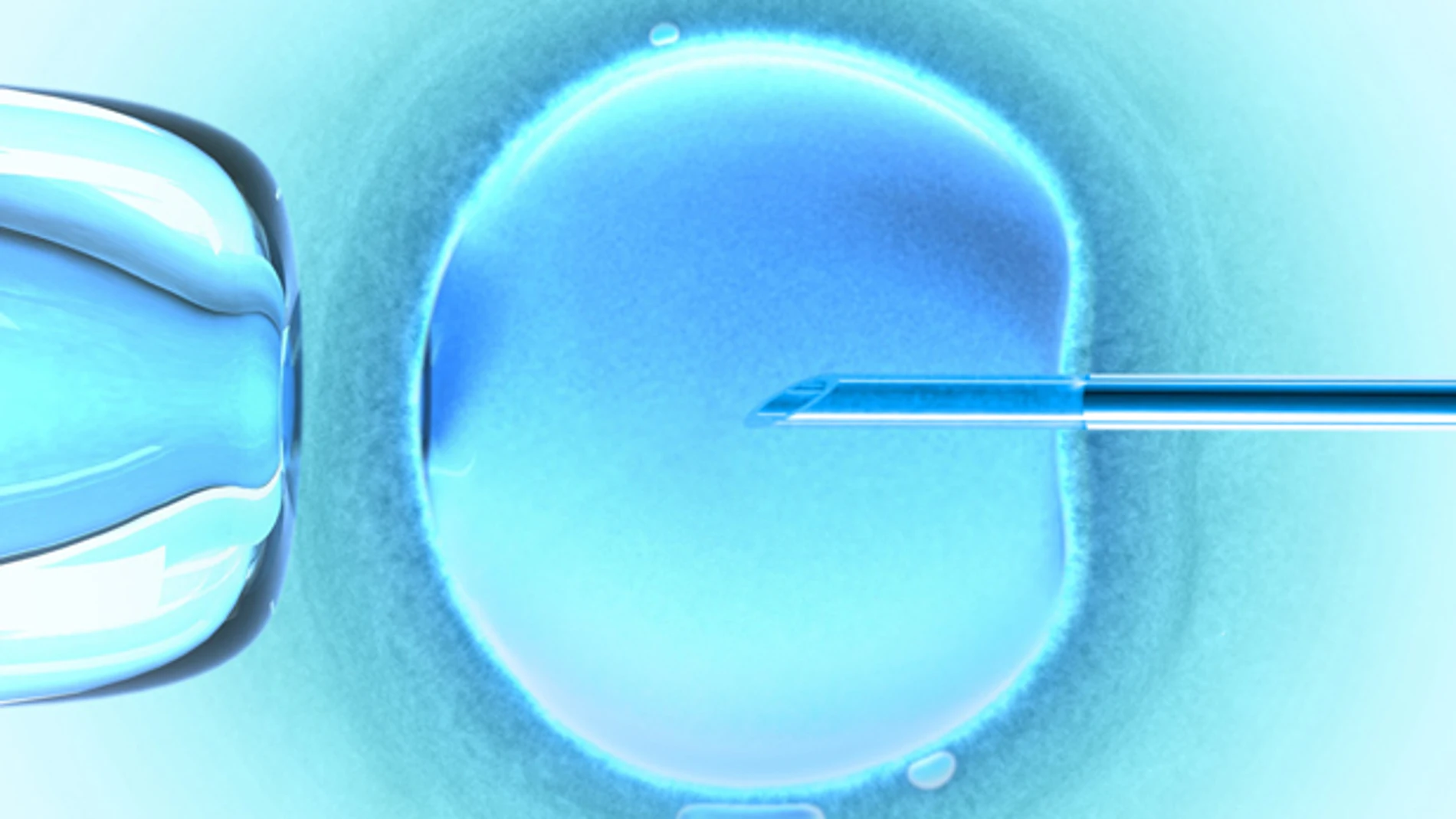 Imagen de un proceso de inseminación