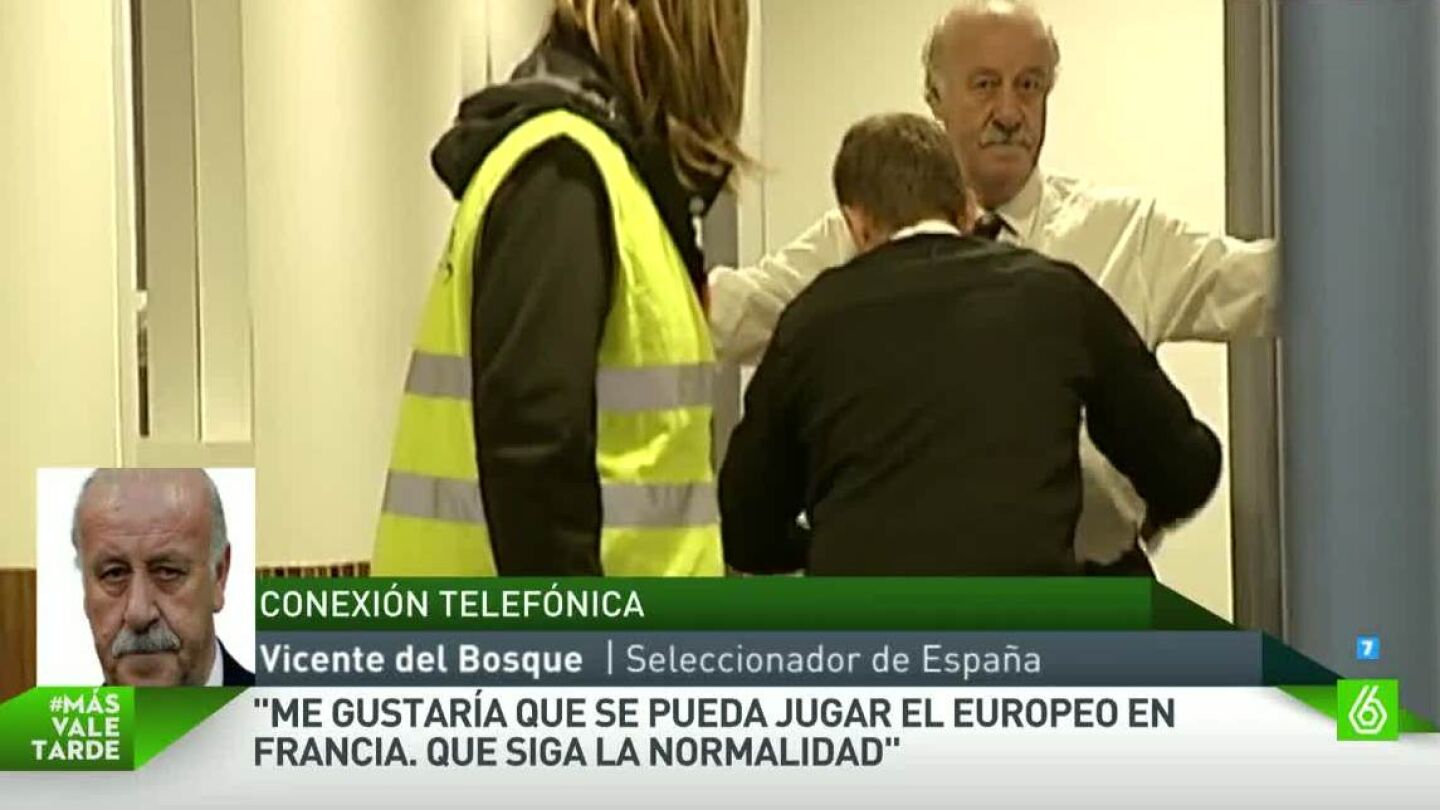 Vicente del Bosque, seleccionador espa&ntilde;ol