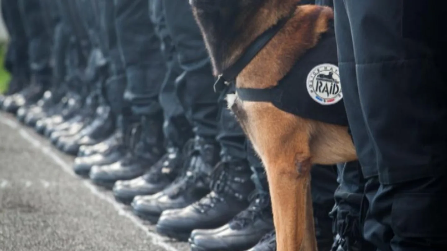 Diesel, la perra policía Diesel, la perra policía