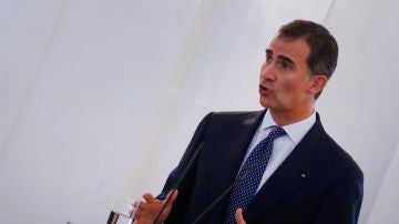 Felipe VI habla sobre los ataques de París