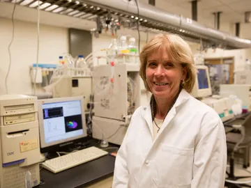 Una nueva técnica para detectar daños en el ADN Una nueva técnica para detectar daños en el ADN