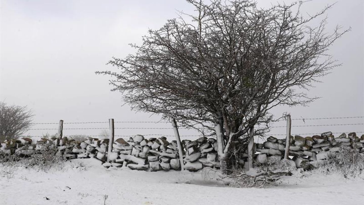 Un lado de la carretera CA-183 en Alto Campoo, Cantabria