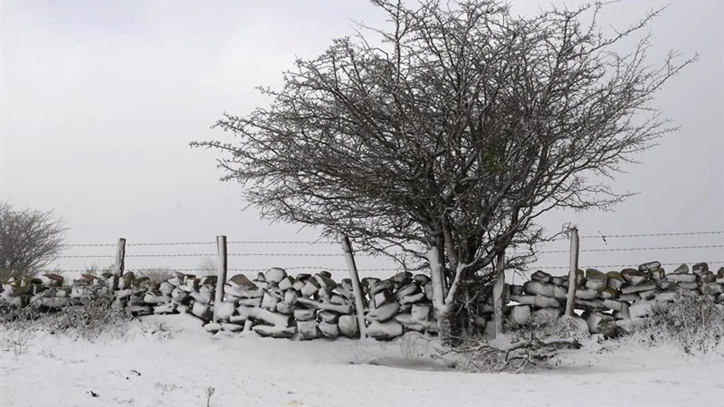 Un lado de la carretera CA-183 en Alto Campoo, Cantabria Un lado de la carretera CA-183 en Alto Campoo, Cantabria