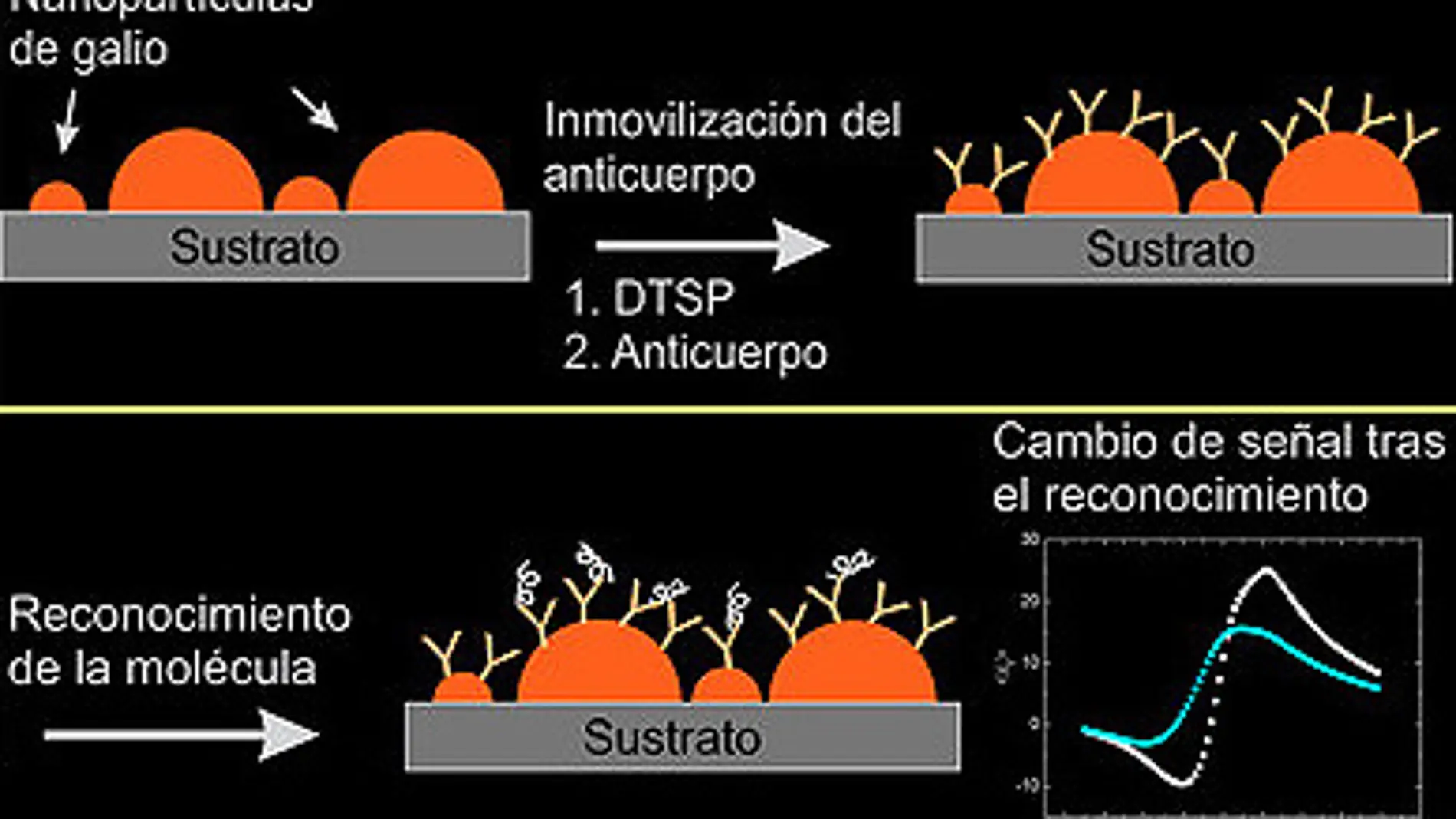 Nanopartículas de Galio sobre Silicio: u