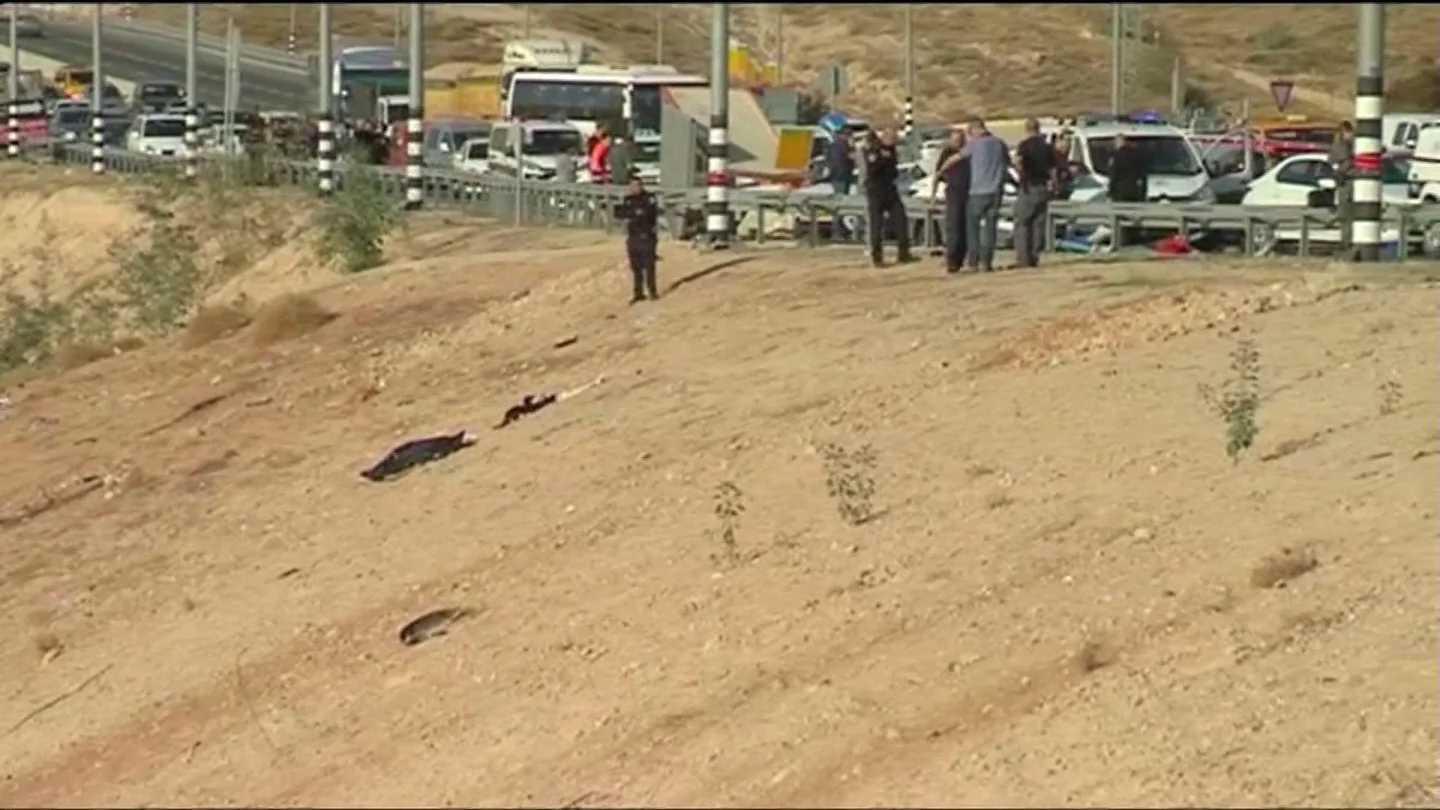 Un palestino abatido por los disparos en Israel Un palestino abatido por los disparos en Israel