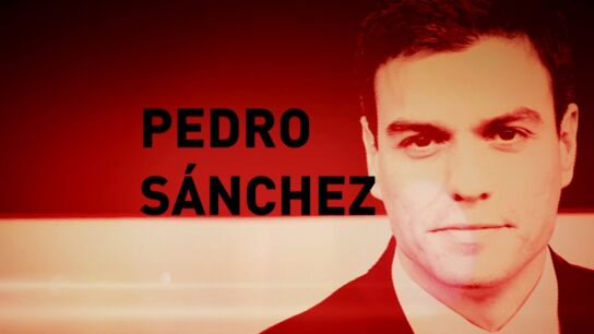 Perfil Pedro S&aacute;nchez
