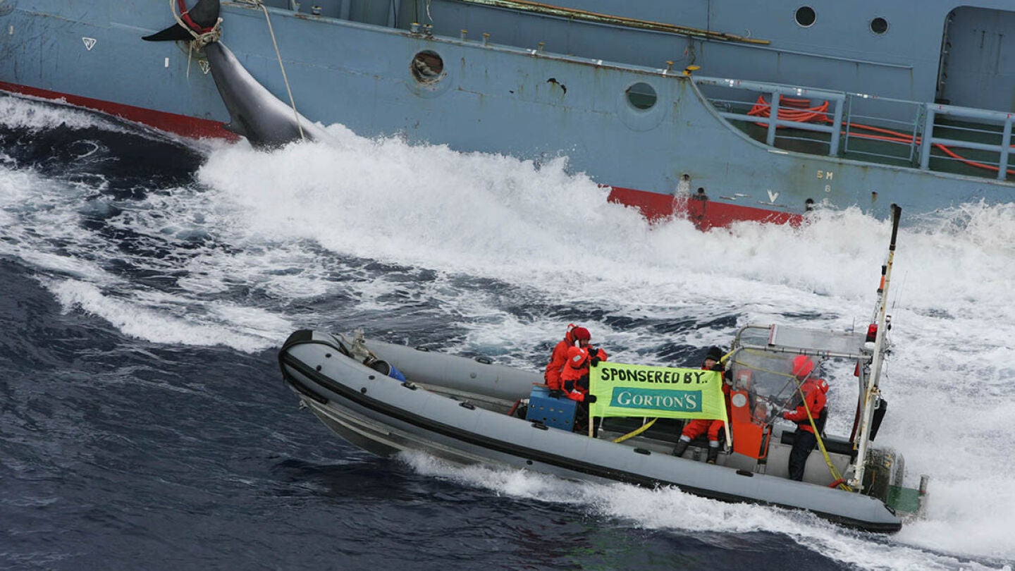 Captura de una ballena