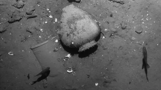 Colombia puede haber descubierto el galeón español San José Colombia puede haber descubierto el galeón español San José