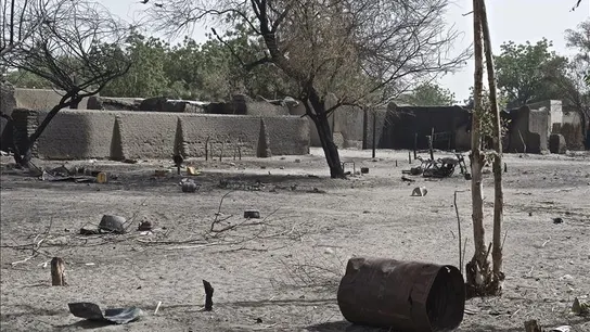 Zona cercana al lago Chad Zona cercana al lago Chad