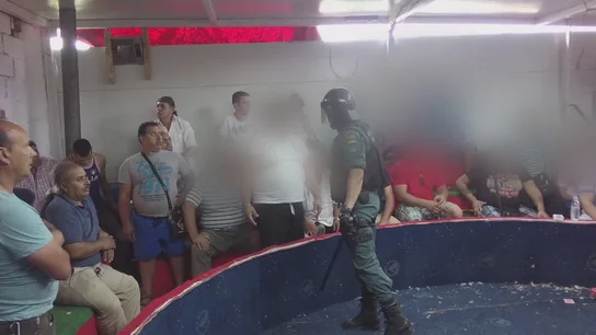 La Guardia Civil interviene un reñidero de peleas de gallos La Guardia Civil interviene un reñidero de peleas de gallos