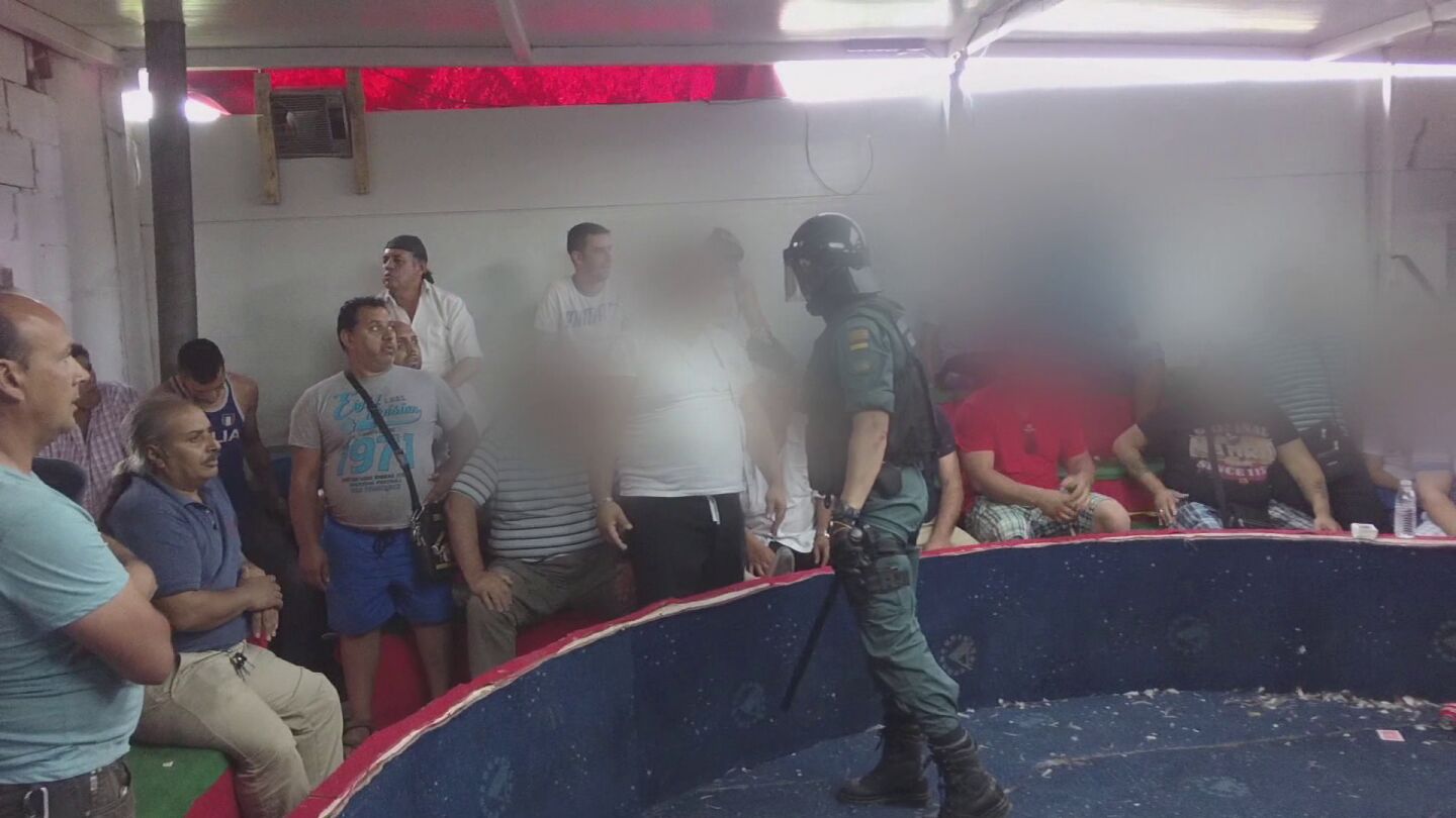 La Guardia Civil interviene un re&ntilde;idero de peleas de gallos
