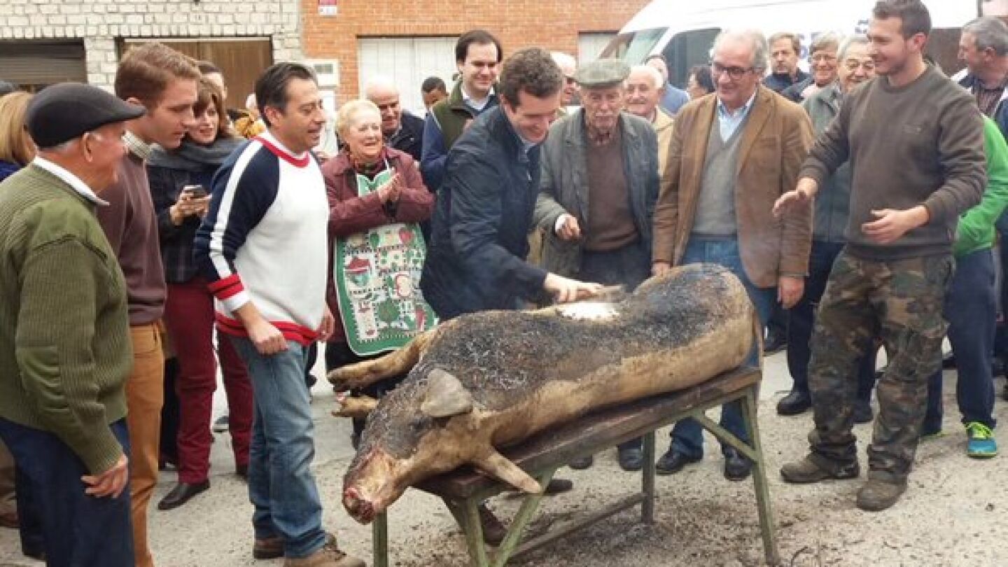 Pablo Casado, durante la matanza del cerdo en &Aacute;vila