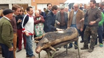 Pablo Casado, durante la matanza del cerdo en Ávila